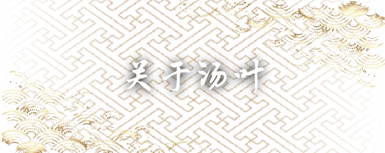 关于汤叶