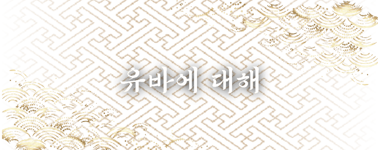 유바에 대해